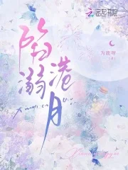 陷溺港月封面