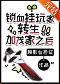 (综漫同人)锁血挂玩家转生加茂家之后封面