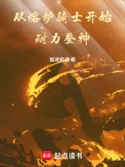 从熔炉骑士开始耐力登神封面