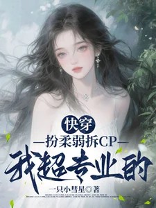 快穿：扮柔弱拆CP我超专业的封面