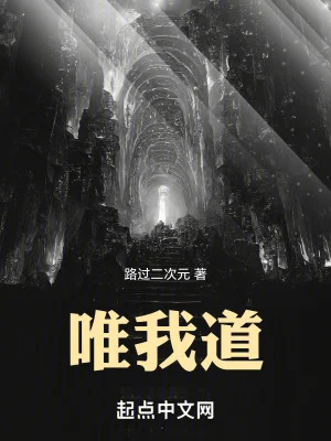 唯我道封面