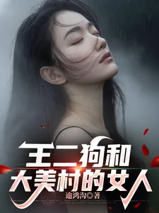 王二狗和大美村的女人封面