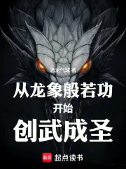 从龙象般若功开始创武成圣封面