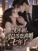 沈小姐,司总等您离婚七年了封面