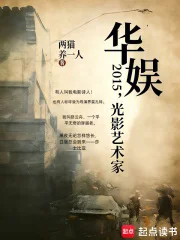 华娱2015,光影艺术家封面