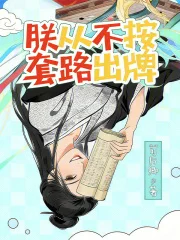 朕从不按套路出牌封面