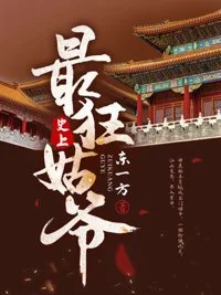 史上最狂姑爷封面
