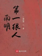 南明第一狠人封面