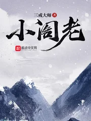 小阁老封面