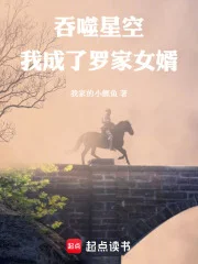 吞噬星空:我成了罗家女婿封面