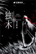 独木封面