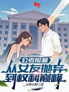 公考捡漏:从女友抛弃到权利巅峰封面