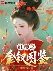 红楼之金钗图鉴封面