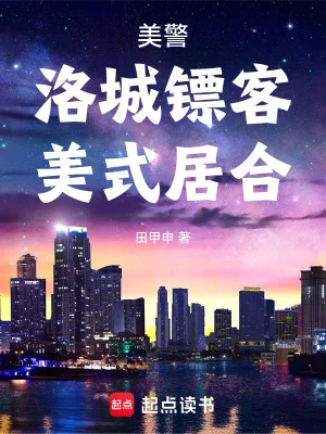 美警:洛城镖客,美式居合封面