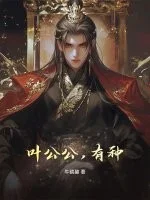 叶公公,有种!封面