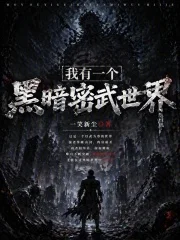 我有一个黑暗密武世界封面