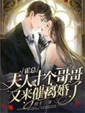 霍总，夫人的十个哥哥又来催离婚了封面
