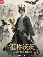 霍格沃茨:从水浒归来的哈利封面