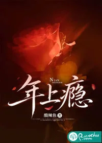 年上瘾封面