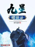 九星曜世录封面