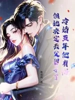 冷婚五年他有悔,但她决定去父留子了封面