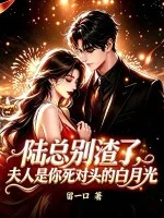 陆总别渣了,夫人是你死对头的白月光封面
