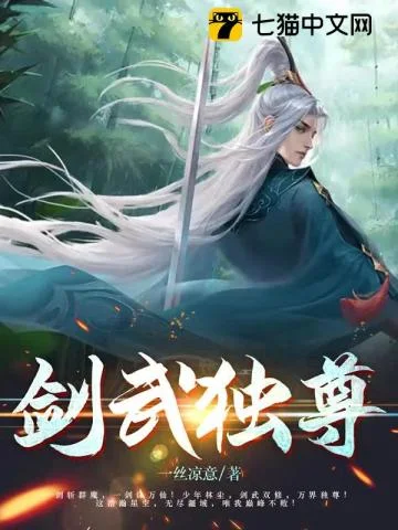 剑武独尊封面