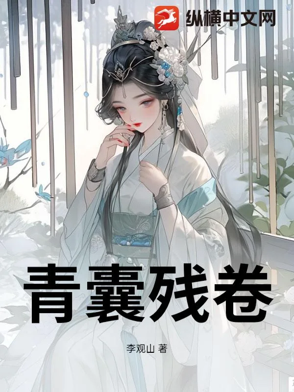 青囊残卷封面