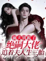 前夫别跪了,绝嗣大佬追着夫人生三胎封面