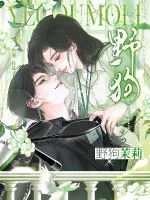 野狗茉莉封面