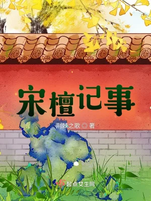 宋檀记事封面