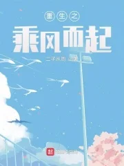 重生之乘风而起封面