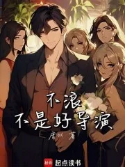 不浪不是好导演封面