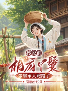 抄家前,相府丫鬟带继承人跑路了封面