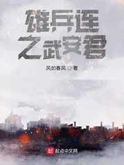 雄兵连之武安君封面