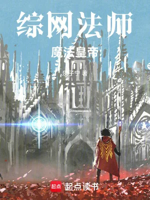 综网法师,魔法皇帝封面