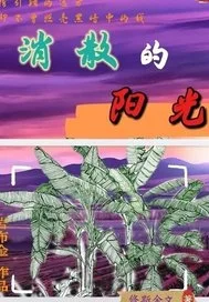 消散的阳光封面