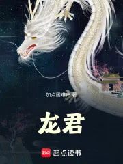 龙君!封面