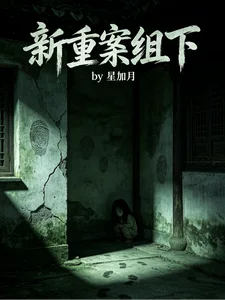 新重案组下封面