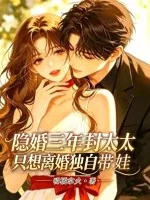 隐婚三年,封太太只想离婚独自带娃封面