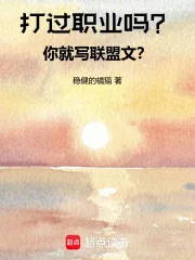 打过职业吗？你就写联盟文？封面