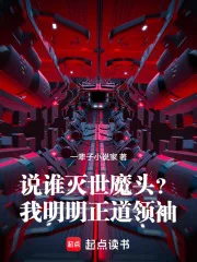 说谁灭世魔头?我明明正道领袖!封面