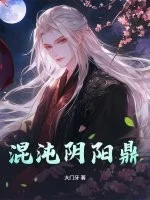 混沌阴阳鼎封面