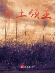 魔戒:中土领主封面